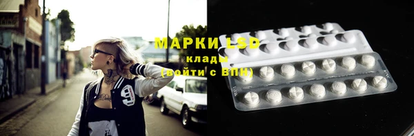 трава Гусев