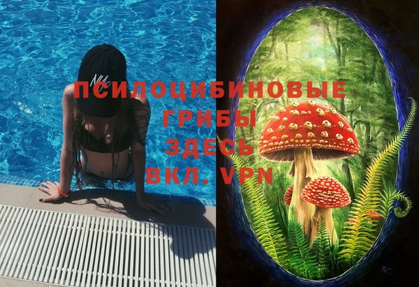 трава Гусев